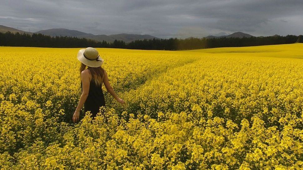 Prognoza meteo pe o lună: vreme neobișnuită - între caniculă sufocantă și răcire accentuată. ANM anunță oscilații periculoase în august