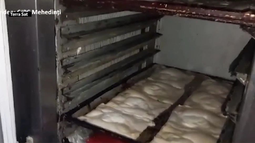 ATENȚIE la ce mâncăm! Gândaci, ulei refolosit, mizerie și rugină la o covrigărie și un magazin alimentar din Mehedinți - Ce măsuri s-au luat