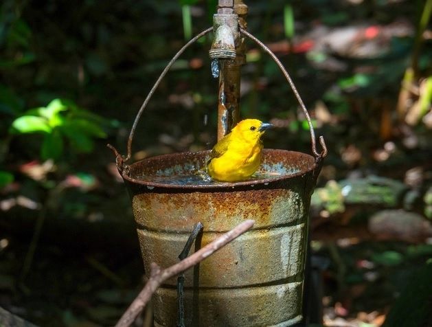 Apă neconformă în zeci de orașe și comune din Alba. Autoritățile, obligate să avertizeze populația 