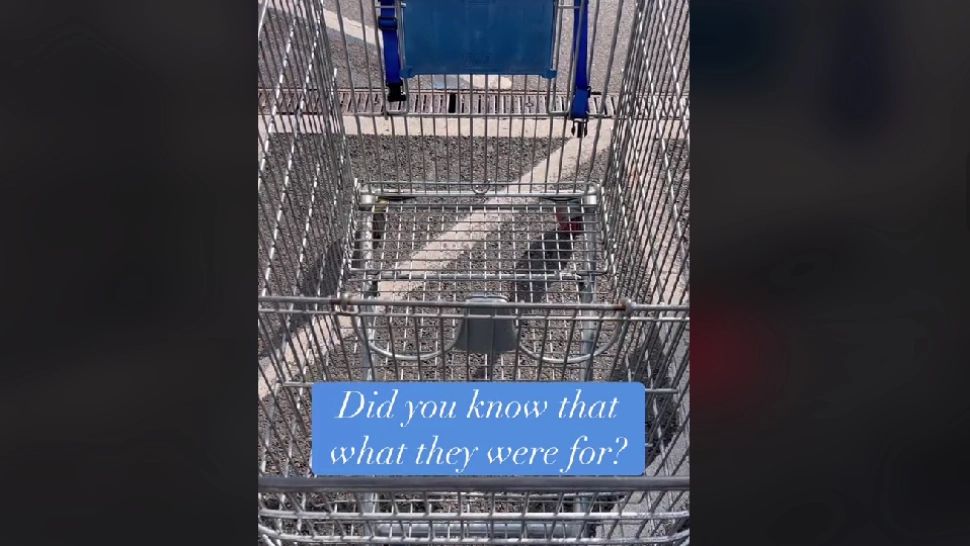 Cărucioarele de la supermarket au un compartiment secret. Cum te poate ajuta să îți organizezi cumpărăturile