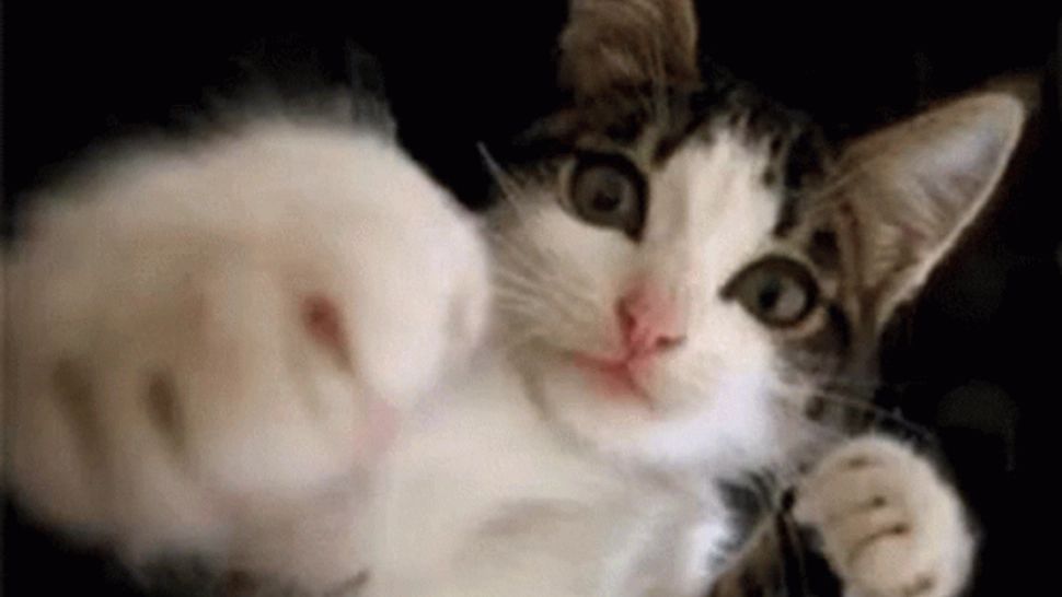 Spune cum ții pumnul strâns, ca să știi cum ești! Testul care dezvăluie ce ții ascuns - Uluitor cât de adevărat este!