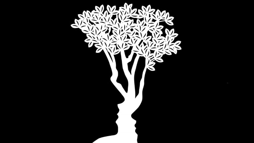 Testul adevărului - Ce vezi în imagine dezvăluie exact ce dorești să maschezi în interacțiunile cu ceilalți oameni