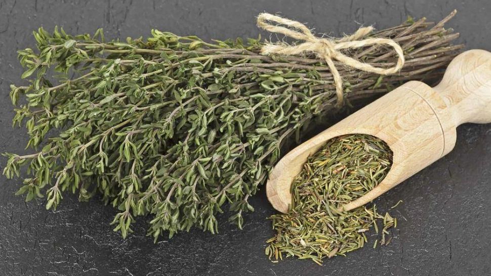 Diferența dintre cimbru și cimbrișor - Multe gospodine nu fac diferență și riscă să strice mâncarea