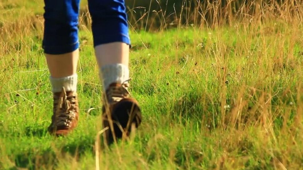 Pedeapsa primită de doi soți din Galați după ce și-au ținut propriul nepot în sclavie timp de 10 ani. Tânărul s-a sinucis