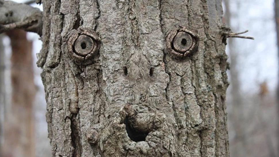 Vezi semne și imagini în orice obiect? Ce este pareidolia și când devine periculoasă?