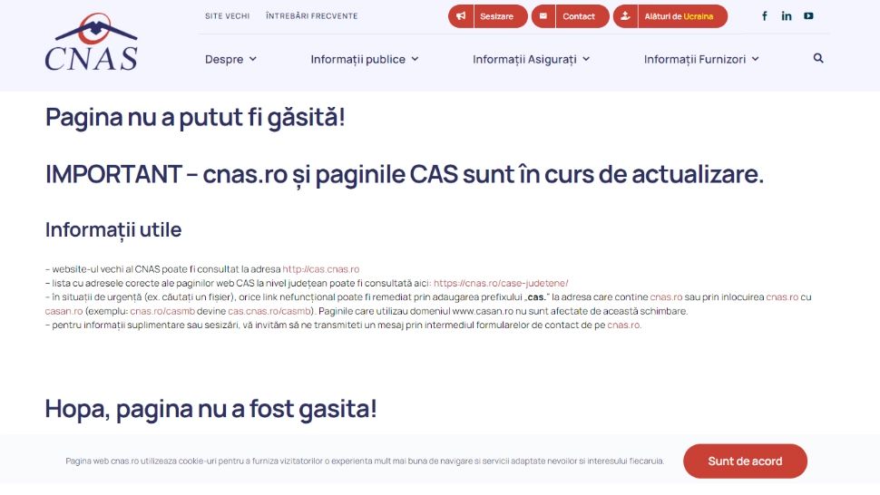 CNAS caută IT-ist cu un salariu de 4.000 de euro. Pentru cei interesați - "Hopa, pagina nu a fost găsită!"