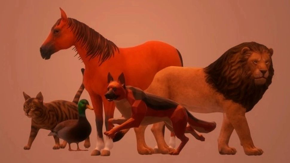 TESTUL ce dezvăluie totul despre tine - Este esențial pentru a ști ce să faci când ești copleșit de emoții