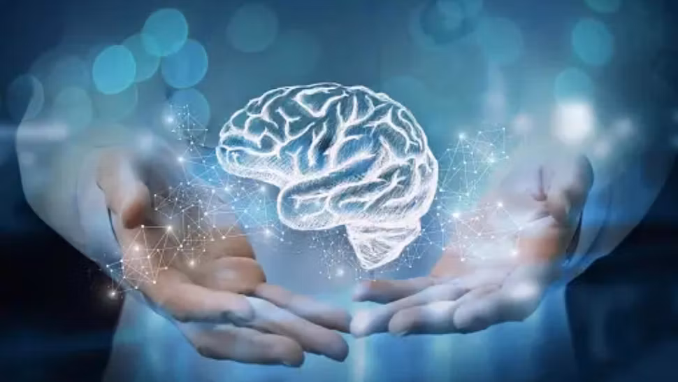 TOP 7 obiceiuri vitale pentru „hrana creierului” - Cum îți îmbunătățești memoria și concentrarea