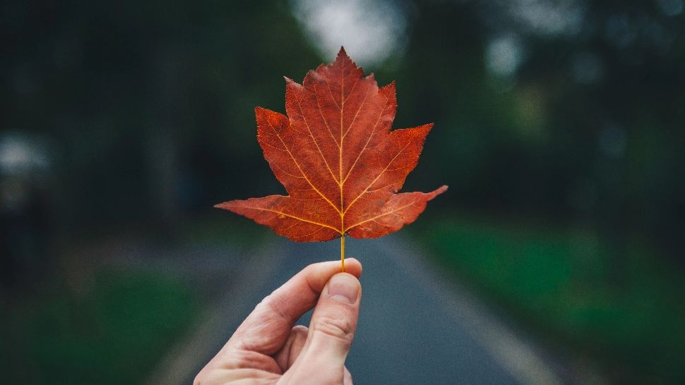 Răcire accentuată a vremii, în Capitală! La ce să ne așteptăm în orele următoare