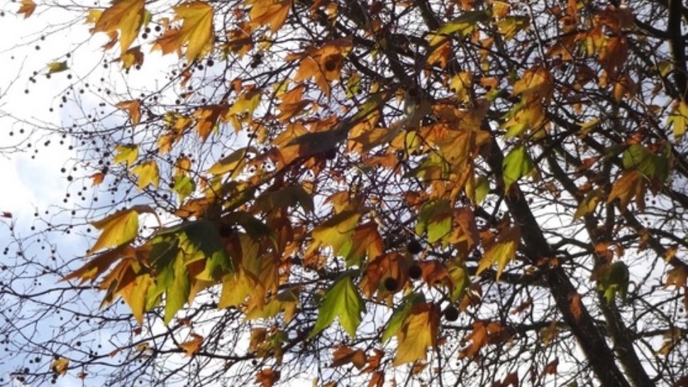 Prognoza meteo. Cum va fi vremea în weekend 