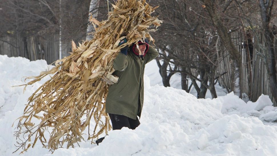 Cum va fi IARNA viitoare în România? Prognoză surprinzătoare - HARTA
