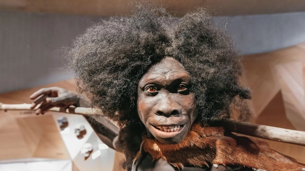 Înainte de om a fost biluța. De când au început primatele să modeleze sfere?