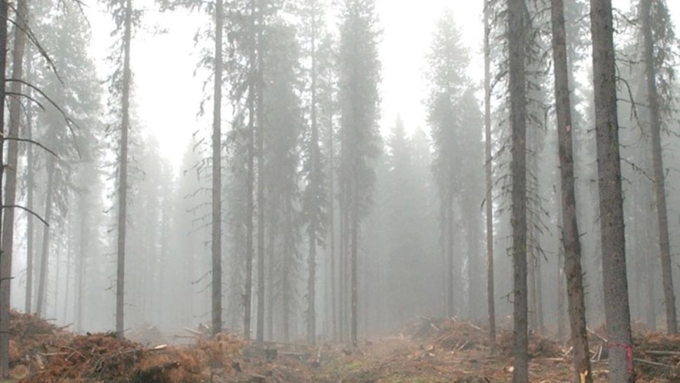 Locuri bizare din România. Unde se află cărarea care te face sa dispari