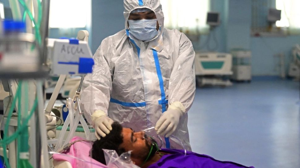 După COVID, un alt virus transmis de lilieci provoacă panică în India. Din 23 de infectați, 21 au murit