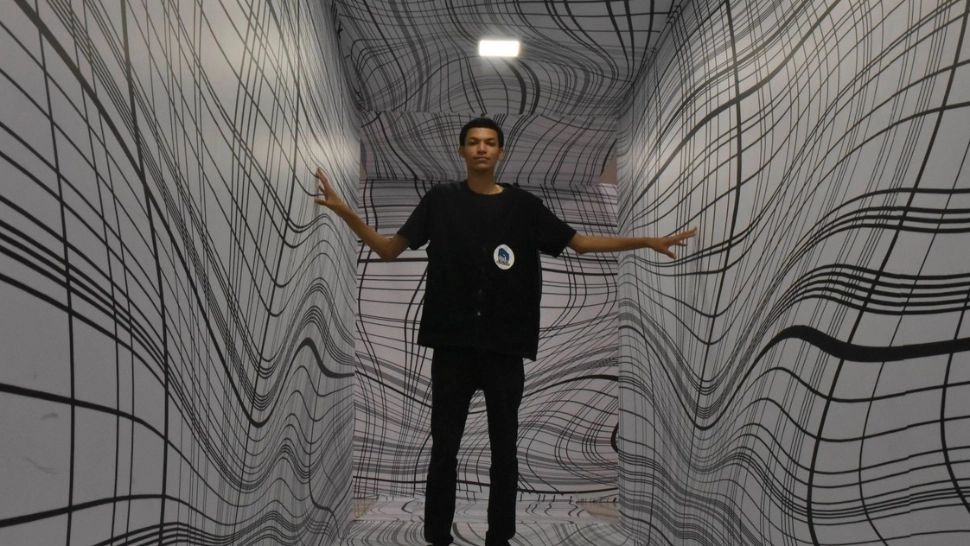 Iluzia care-și dă peste cap percepția. Câte cercuri vezi în imagine?