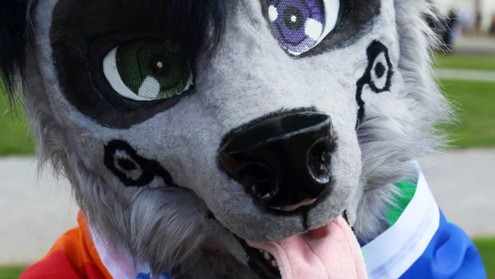 Sex între specii diferite de animale. Se întâmplă mai des decât ne-am imagina