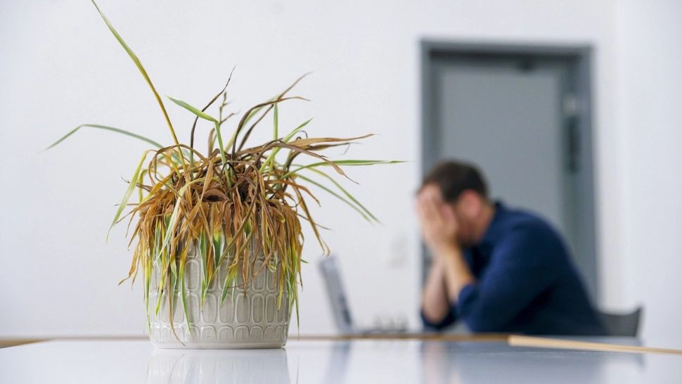   5 motive pentru care necazurile si ghinioanele se țin scai de tine. Cum scapi de ele?