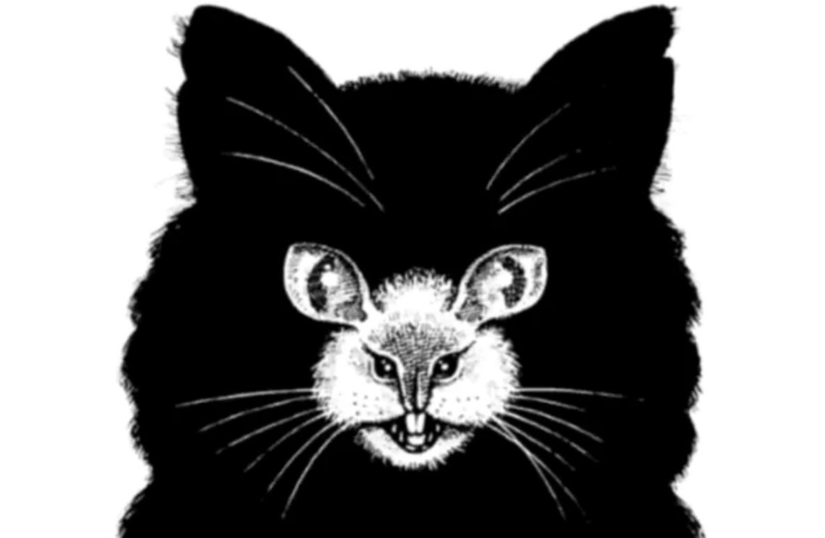 Ce animal vezi prima dată? Răspunsul trădează cea mai mare frică a ta!