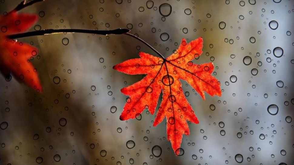 ANM anunță schimbări radicale ale vremii: răcire accentuată, ploi și vijelii. Cod galben de fenomene periculoase - HARTA 