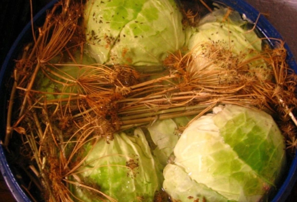 Varză murată la butoi. Rețeta lui Radu Anton Roman: ingredientul care păstrează apa limpede și frunza tare