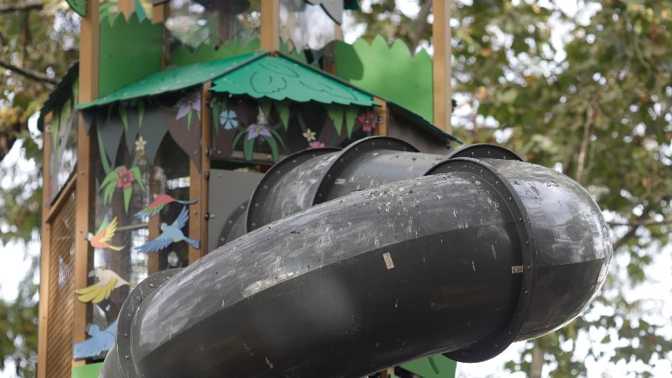 Ciorile din Cișmigiu vor fi alungate cu focuri de artificii. Nicușor Dan: "Mănâncă în oraș și vin seara târziu"