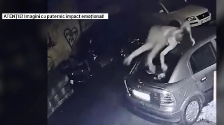 Intervenție haotică a poliției în cazul tânărului drogat din Capitală care a decedat. Un martor și tatăl bărbatului fac acuzații grave