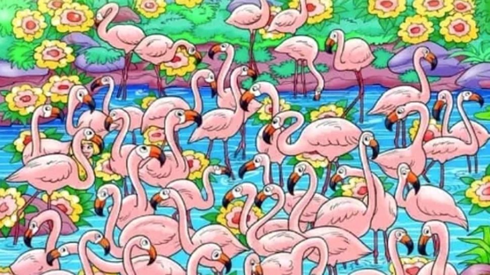 Testul suprem pentru cei cu ochi de vultur. Poți să descoperi intrusul în doar 15 secunde?