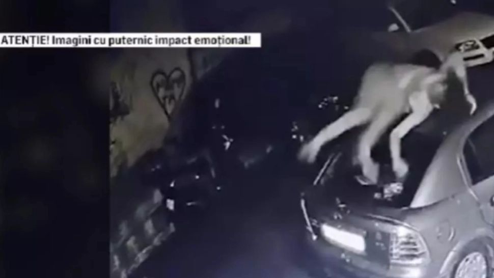 Reacția Poliției în cazul tânărului drogat care a murit la spital - Ce spune expertiza medico-legală referitor la cauza decesului