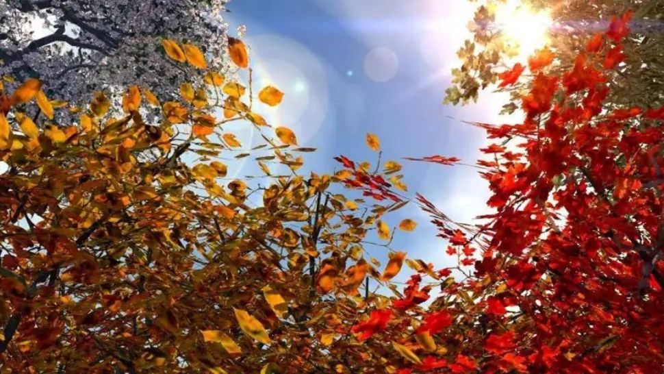 ANM anunță vreme de coșmar: temperaturile scad dramatic, valori sub ZERO GRADE chiar și în București! Unde va fi cel mai frig