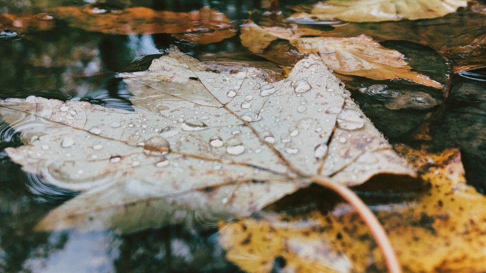 Vremea 16 octombrie. Mercurul în termometre scade brusc! Diferențe uriașe de temperatură față de ziua precedentă