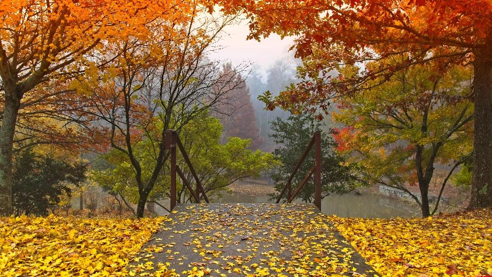 Vremea 26 octombrie. Temperaturi de vară, la final de octombrie. Izolat se vor înregistra averse - Când își intră toamna în drepturi