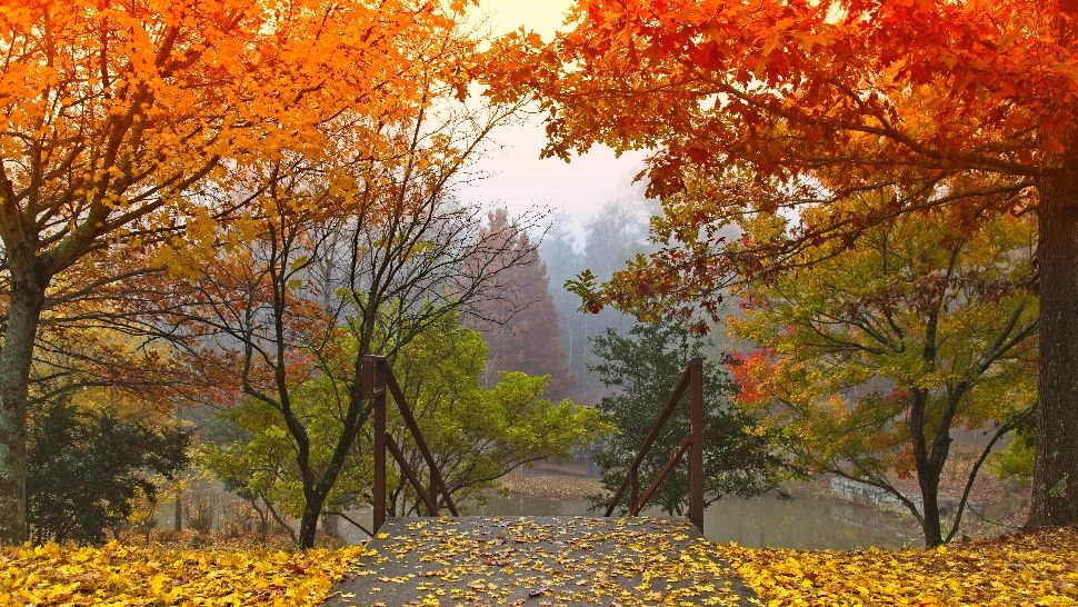 Când își va intra toamna, într-adevăr, în drepturi. Prognoza ANM pentru următoarele 4 săptămâni - SCHIMBĂRI majore