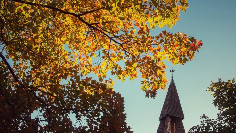 Protecție divină absolută pe 4 zodii, începând din noiembrie - Vor câștiga toate bătăliile, până la finalul anului 2023