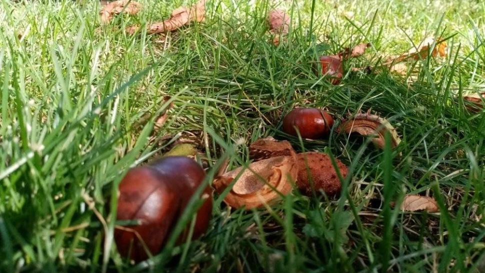 Weekend cu temperaturi de vară în multe zone din țară. Ar putea fi cea mai caldă zi de octombrie din istorie