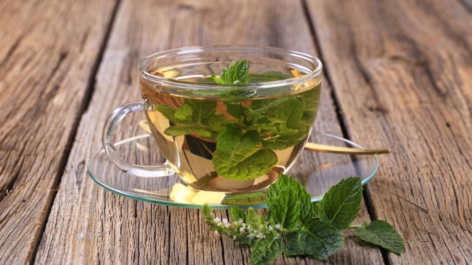 Beneficiile ceaiului de mentă pentru păr. Efecte nebănuite
