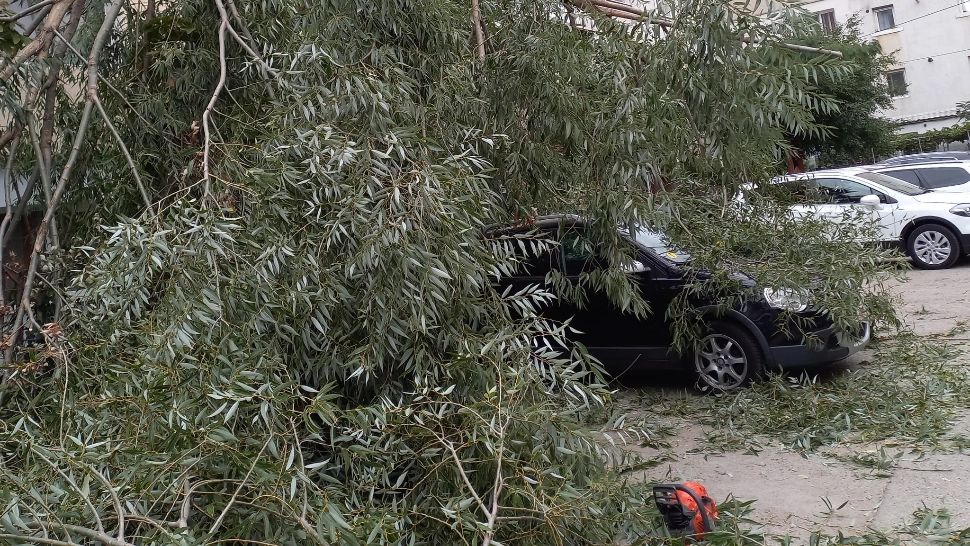 Mesaje Ro-Alert de vânt puternic, în județul Vaslui. Copaci doborâți de vijelii, în Bârlad