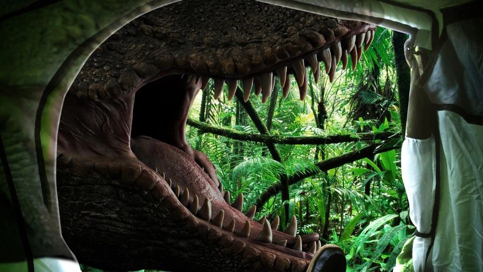 Cercetătorii au identificat animalul cu cea mai puternică mușcătură de pe Pământ. Cine este campionul dinților ucigași de care nu scapă nimeni