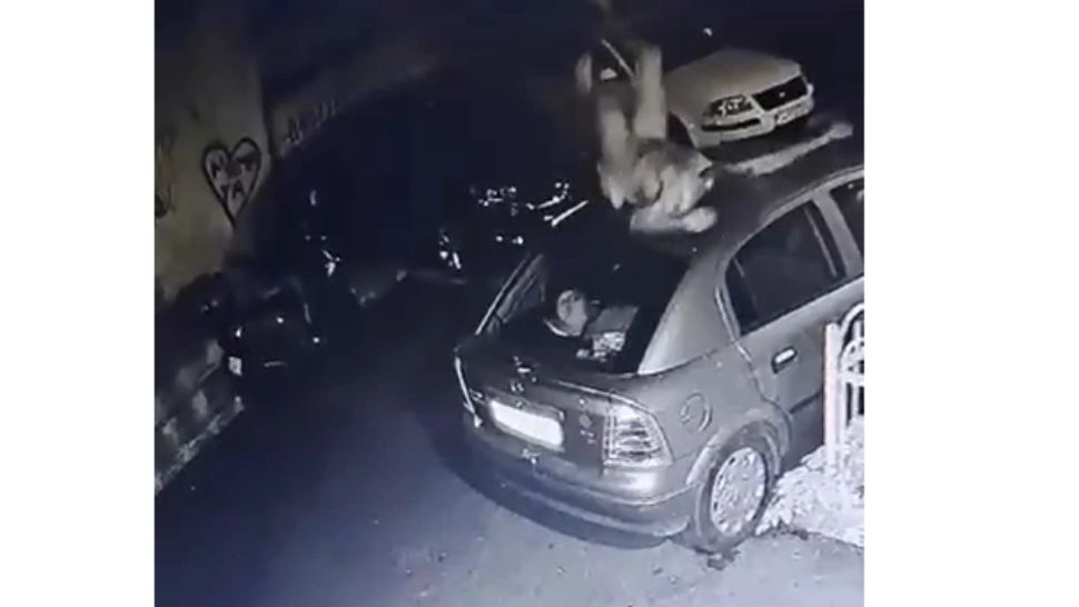 Răspunsul autorităților, după ce tânărul drogat bătut de polițiști a murit la spital