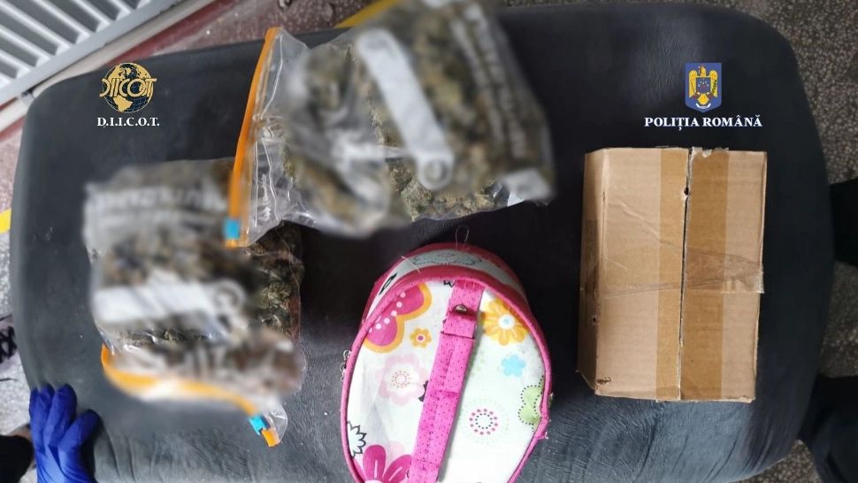 Petrecere de Halloween cu droguri în loc de bomboane - Procurorii DIICOT au făcut descoperirea