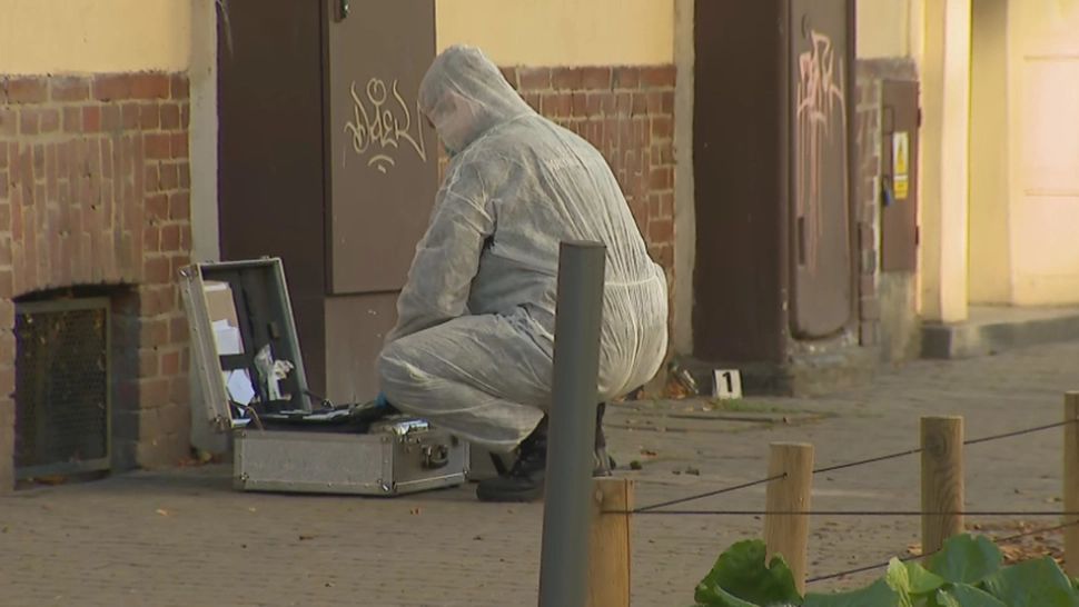 Un copil de 5 ani, înjunghiat mortal de un bărbat - Micuțul se afla într-o excursie cu colegii săi