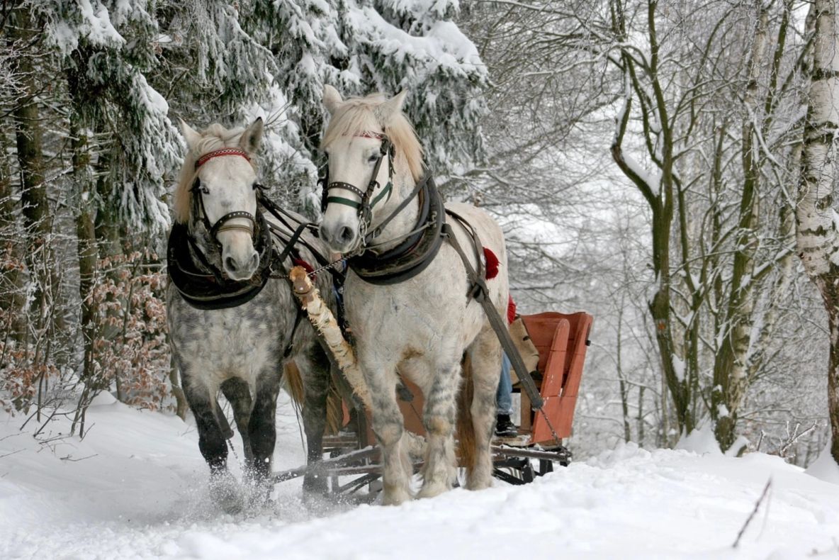 ANM anunță vreme severă, ger și zăpezi consistente. Când începe să ningă puternic în România