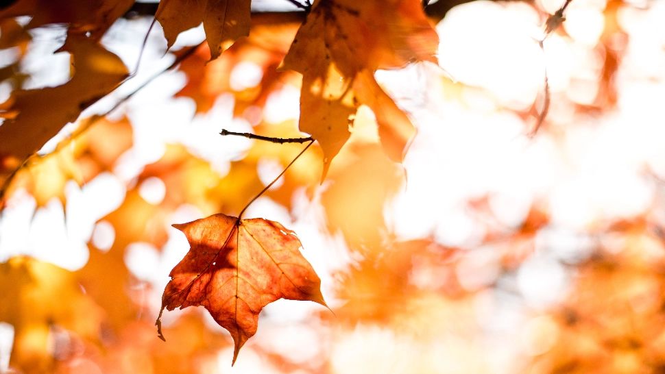 22 de recorduri doborâte într-o singură zi, în România! Cum va fi vremea de Crăciun - Specialiștii ANM știu răspunsul  