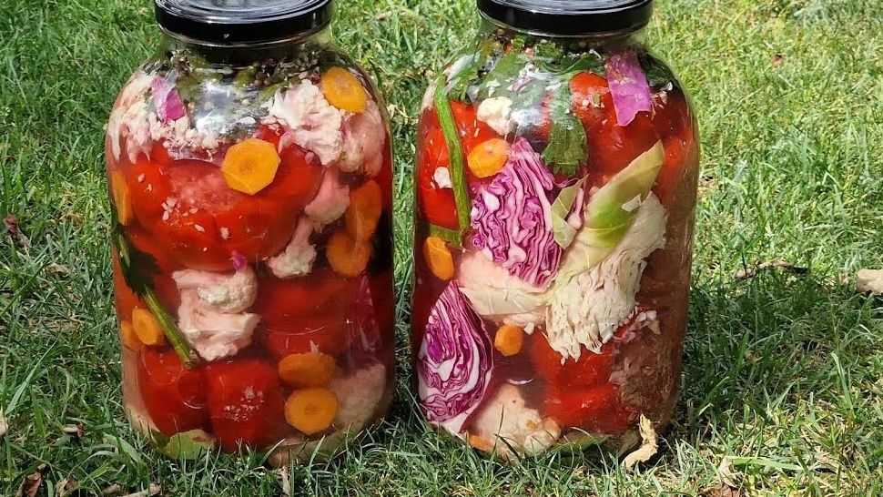 Murături de TOP: Gogoșari cu varză pentru iarnă, în saramură tradițională - Cea mai simplă rețetă dacă îi știi cele 2 secrete