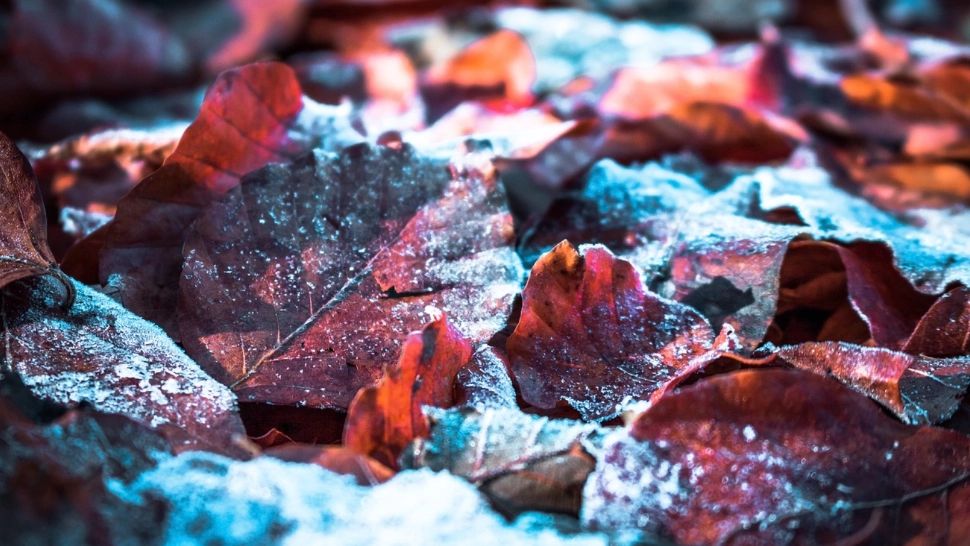 Vremea se schimbă radical: zonele lovite de vijelii. Meteorolog: "Există probabilitate foarte mare pentru ninsori"