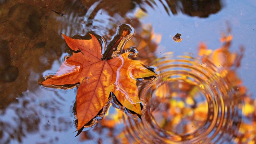 Schimbări radicale ale vremii: temperaturile scad brusc, vin ploile. Zonele în care se instalează toamna 