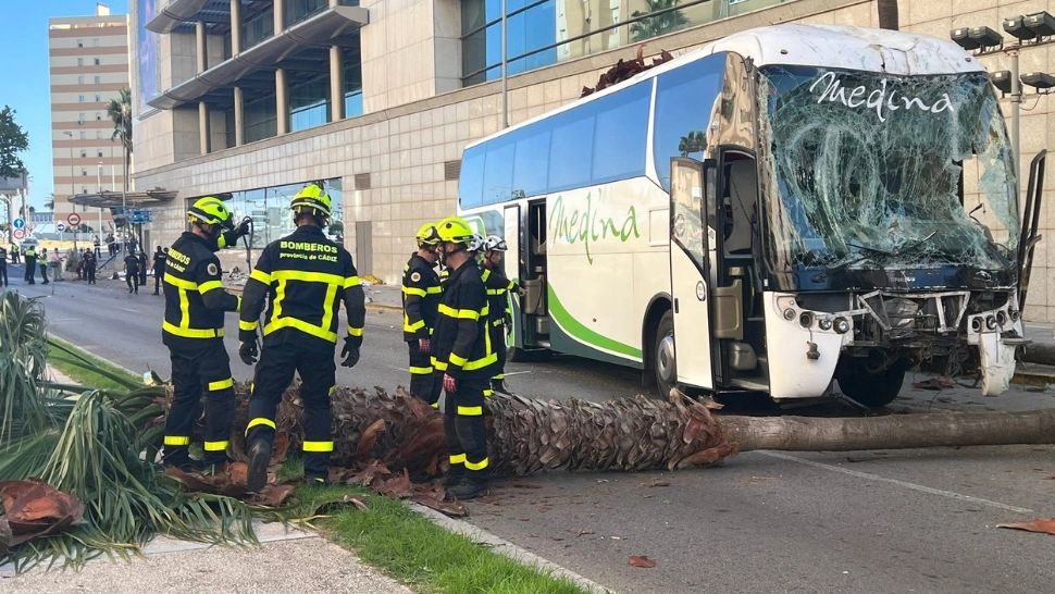 Un autobuz școlar a intrat în mulțime în Spania: 3 morți și mulți răniți - Motivul accidentului din Cadiz