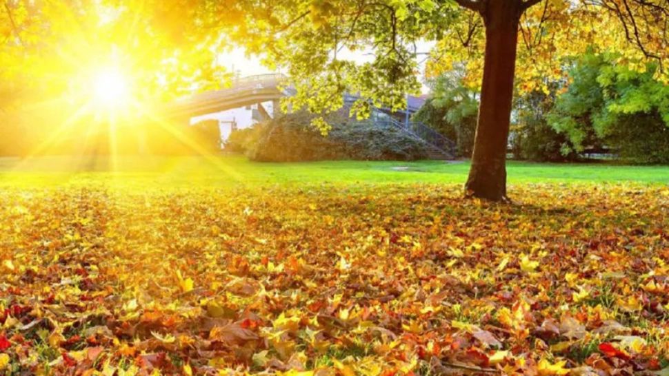 Vremea 5 octombrie - Temperaturi de vară, toamna, în România - Zonele unde va ploua 