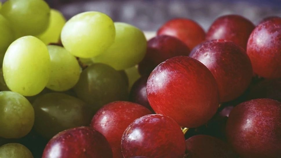 Ce trebuie sa faci cu strugurii ca să rămână proaspeți până la 3 săptămâni. Trucul folosit înainte de a-i băga la frigider