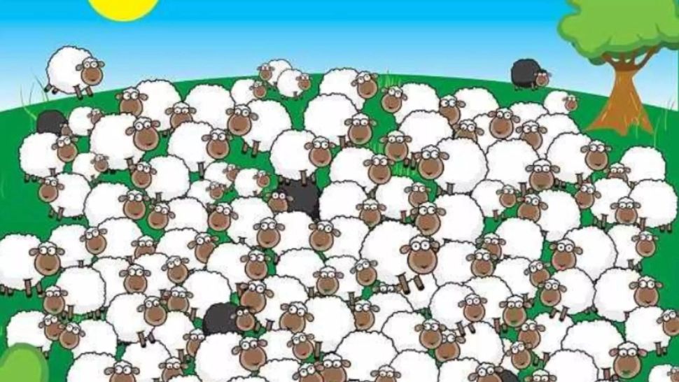 Dublu test de inteligență: descoperă câinele ascuns și oaia care doarme. Numai geniile găsesc rezolvarea!