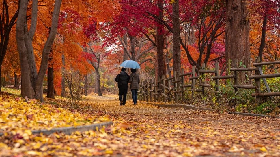 Prognoza meteo pe o lună. Temperaturi neobișnuit de mari în octombrie. Când încep ploile 